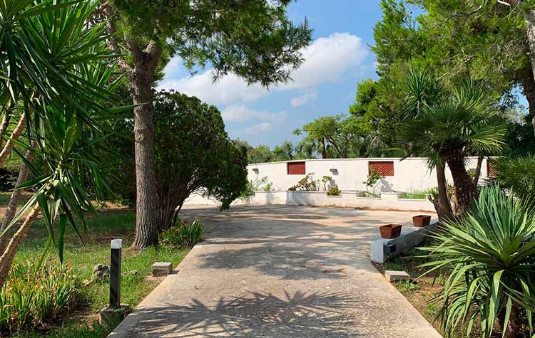 Giardino